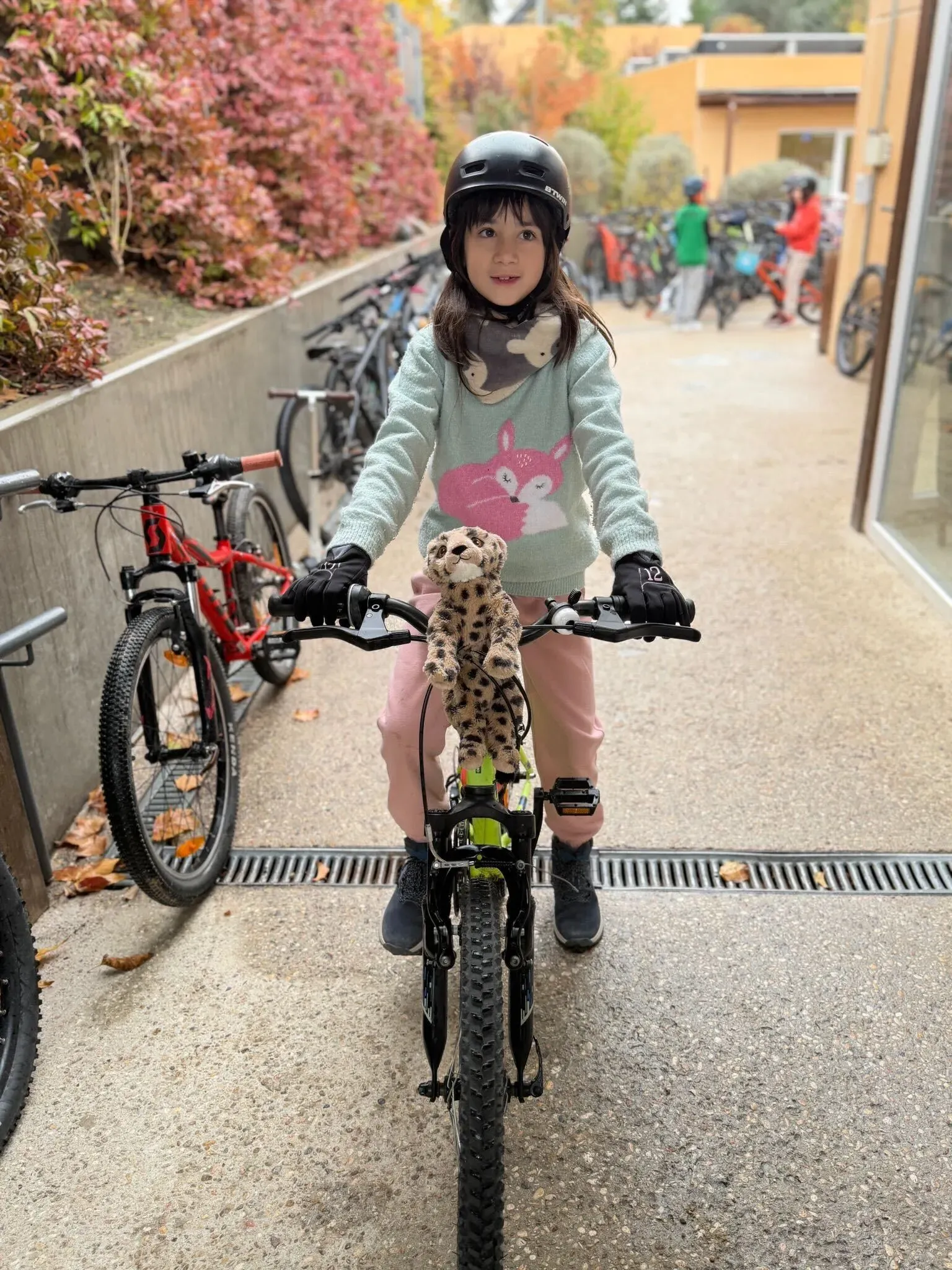 A girl in a helmet rides her bicycle along the school path.